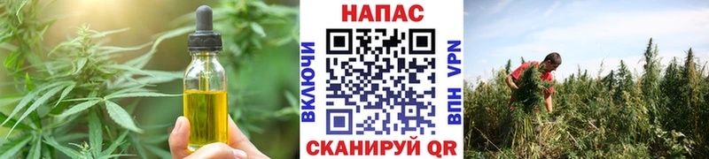darknet какой сайт  купить закладку  Богданович  Еда ТГК конопля 