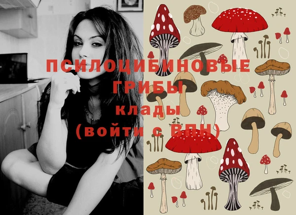 spice Баксан