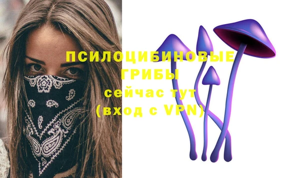 spice Баксан